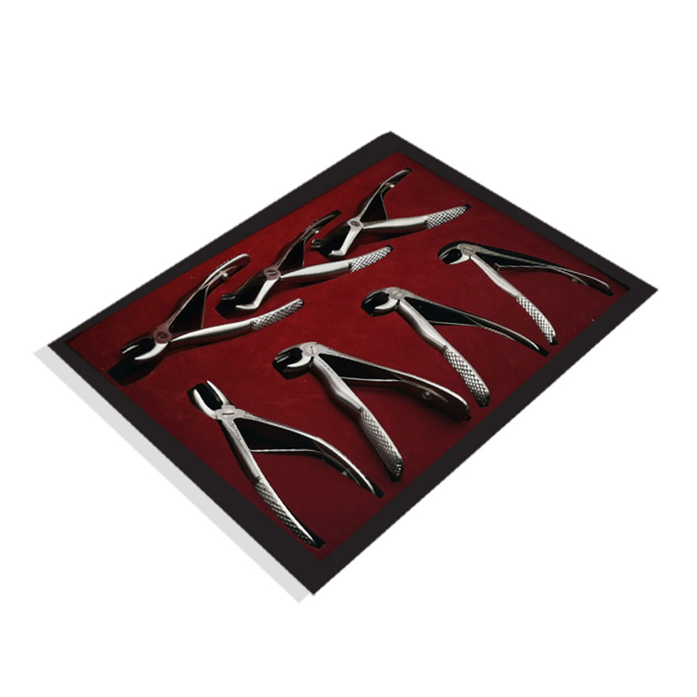 Extracting Forcep Kits